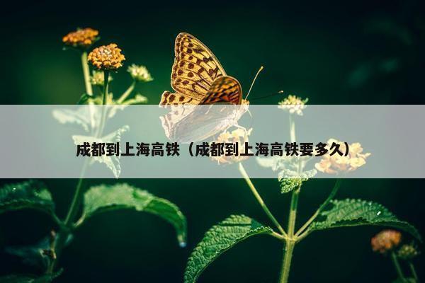 成都到上海高铁（成都到上海高铁要多久）