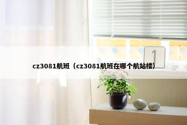 cz3081航班（cz3081航班在哪个航站楼）