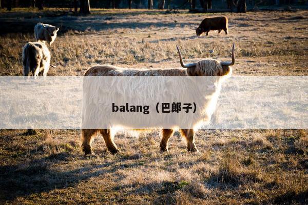 balang（巴郎子）