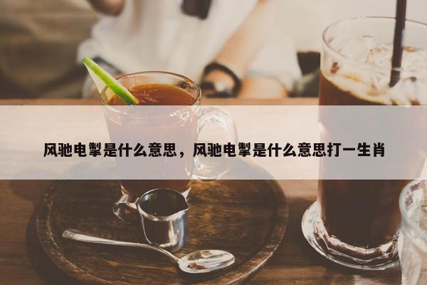 风驰电掣是什么意思，风驰电掣是什么意思打一生肖