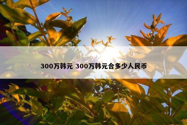 300万韩元 300万韩元合多少人民币