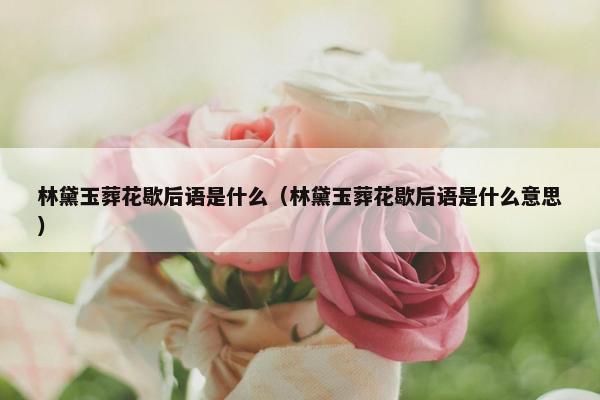 林黛玉葬花歇后语是什么（林黛玉葬花歇后语是什么意思）