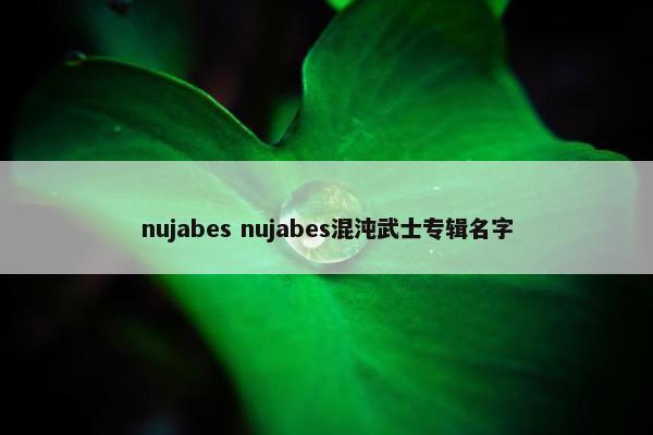 nujabes nujabes混沌武士专辑名字