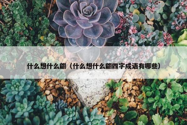 什么想什么翩（什么想什么翩四字成语有哪些）