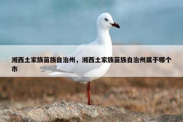 湘西土家族苗族自治州，湘西土家族苗族自治州属于哪个市