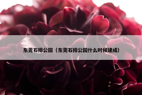 东莞石排公园（东莞石排公园什么时候建成）