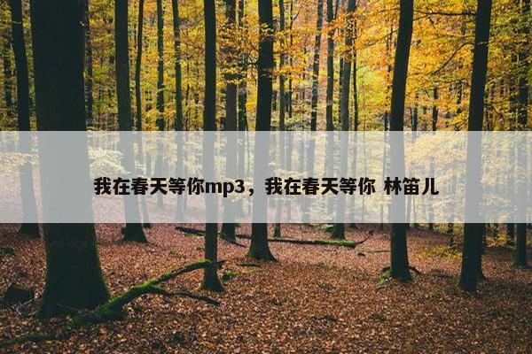 我在春天等你mp3，我在春天等你 林笛儿