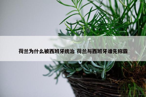 荷兰为什么被西班牙统治 荷兰与西班牙谁先称霸