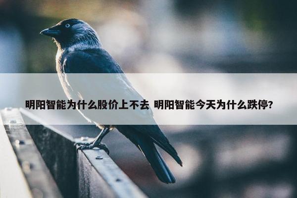 明阳智能为什么股价上不去 明阳智能今天为什么跌停?