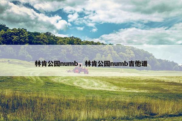 林肯公园numb，林肯公园numb吉他谱