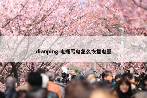 dianping 电瓶亏电怎么恢复电量