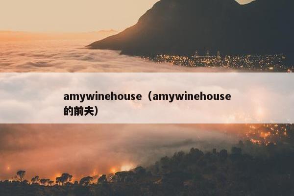 amywinehouse（amywinehouse的前夫）