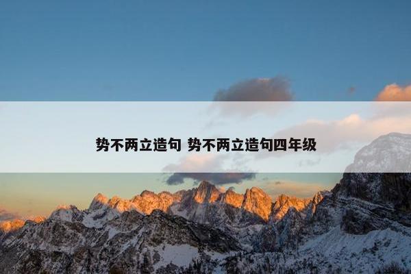 势不两立造句 势不两立造句四年级