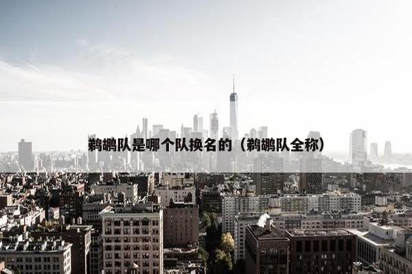 鹈鹕队是哪个队换名的（鹈鹕队全称）