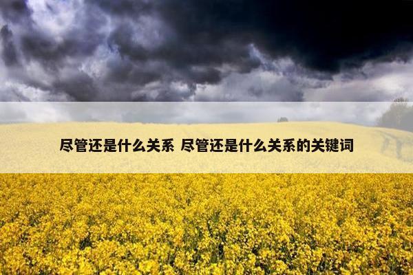 尽管还是什么关系 尽管还是什么关系的关键词