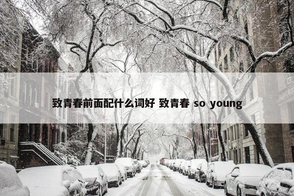 致青春前面配什么词好 致青春 so young