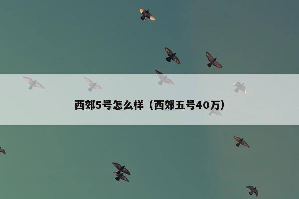 西郊5号怎么样（西郊五号40万）