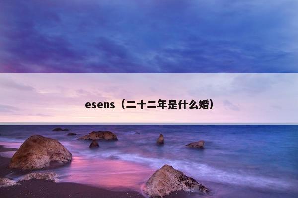 esens（二十二年是什么婚）