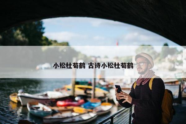 小松杜荀鹤 古诗小松杜荀鹤