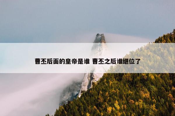 曹丕后面的皇帝是谁 曹丕之后谁继位了