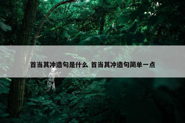 首当其冲造句是什么 首当其冲造句简单一点