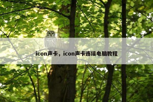 icon声卡，icon声卡连接电脑教程