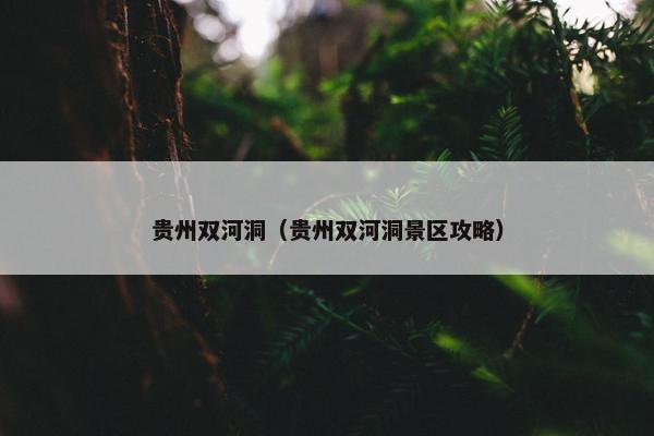 贵州双河洞（贵州双河洞景区攻略）