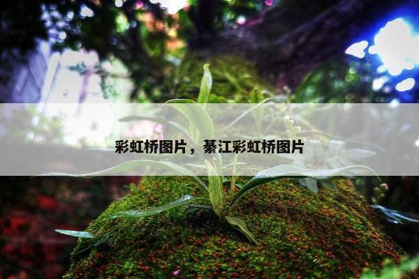 彩虹桥图片，綦江彩虹桥图片