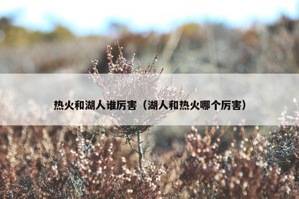 热火和湖人谁厉害（湖人和热火哪个厉害）