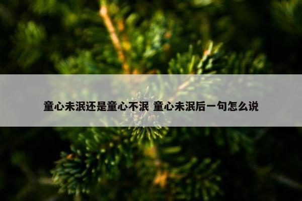 童心未泯还是童心不泯 童心未泯后一句怎么说