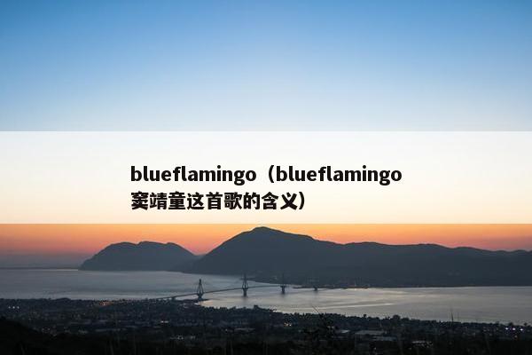 blueflamingo（blueflamingo窦靖童这首歌的含义）