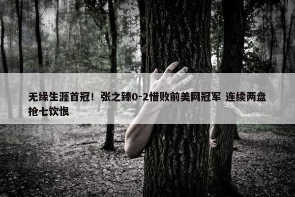 无缘生涯首冠！张之臻0-2惜败前美网冠军 连续两盘抢七饮恨