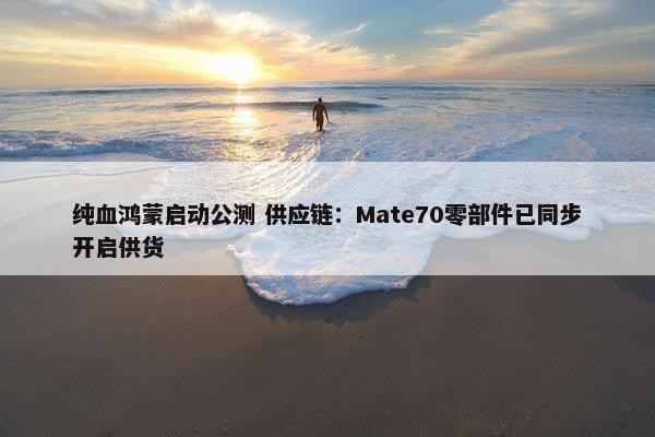 纯血鸿蒙启动公测 供应链：Mate70零部件已同步开启供货