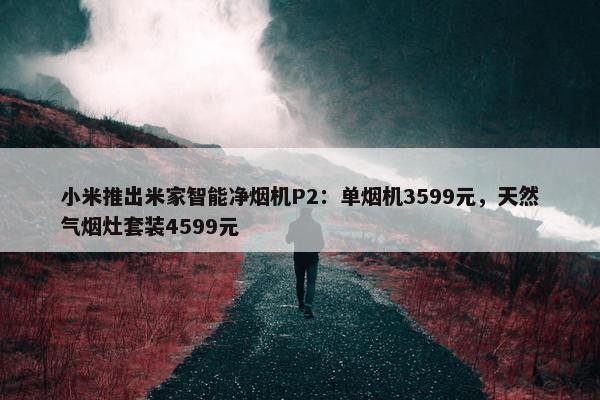 小米推出米家智能净烟机P2：单烟机3599元，天然气烟灶套装4599元