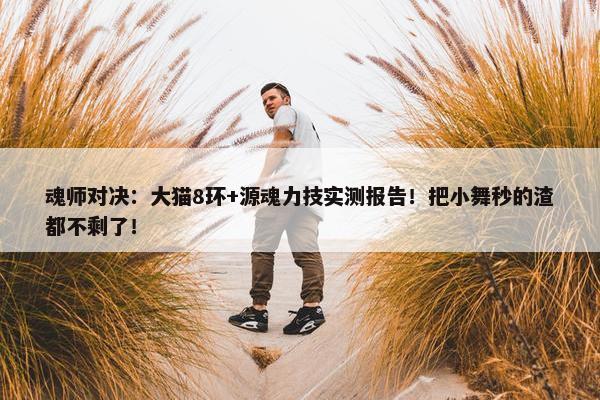 魂师对决：大猫8环+源魂力技实测报告！把小舞秒的渣都不剩了！