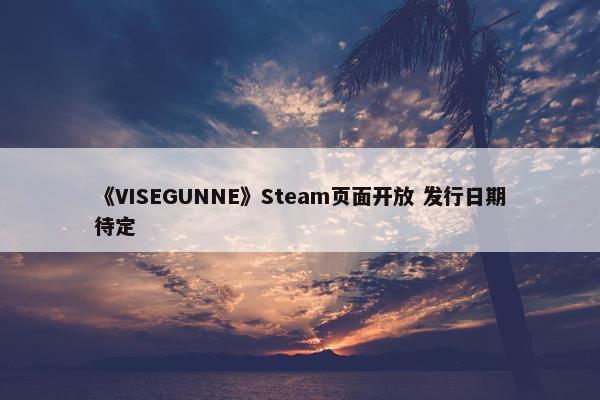 《VISEGUNNE》Steam页面开放 发行日期待定