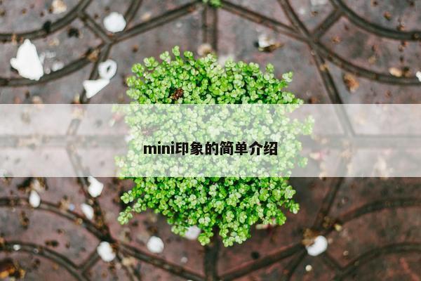 mini印象的简单介绍