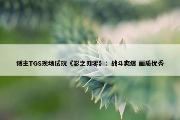 博主TGS现场试玩《影之刃零》：战斗爽爆 画质优秀