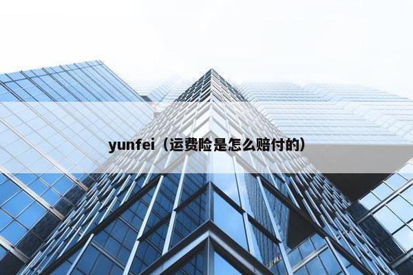 yunfei（运费险是怎么赔付的）