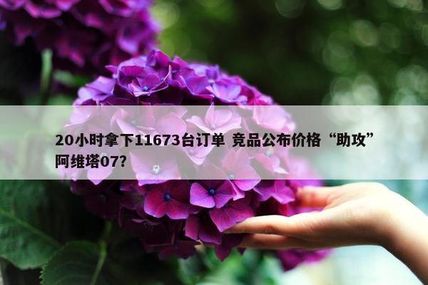 20小时拿下11673台订单 竞品公布价格“助攻”阿维塔07？