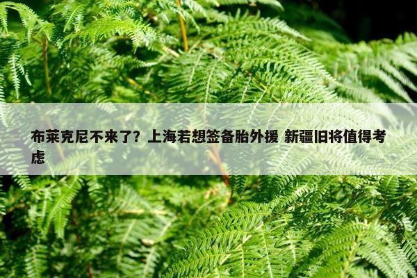 布莱克尼不来了？上海若想签备胎外援 新疆旧将值得考虑