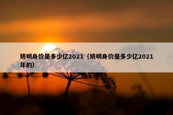 姚明身价是多少亿2021（姚明身价是多少亿2021年的）