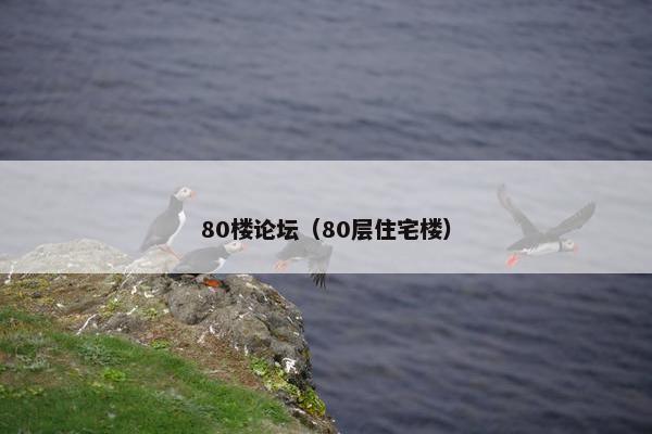 80楼论坛（80层住宅楼）