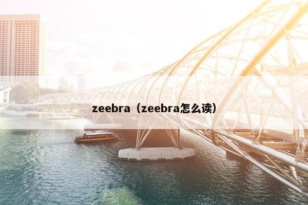 zeebra（zeebra怎么读）