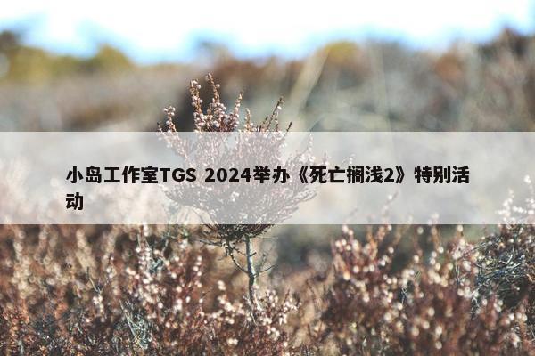 小岛工作室TGS 2024举办《死亡搁浅2》特别活动