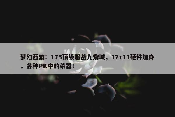 梦幻西游：175顶级服战九黎城，17+11硬件加身，各种PK中的杀器！