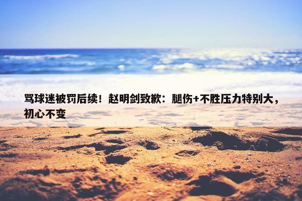 骂球迷被罚后续！赵明剑致歉：腿伤+不胜压力特别大，初心不变