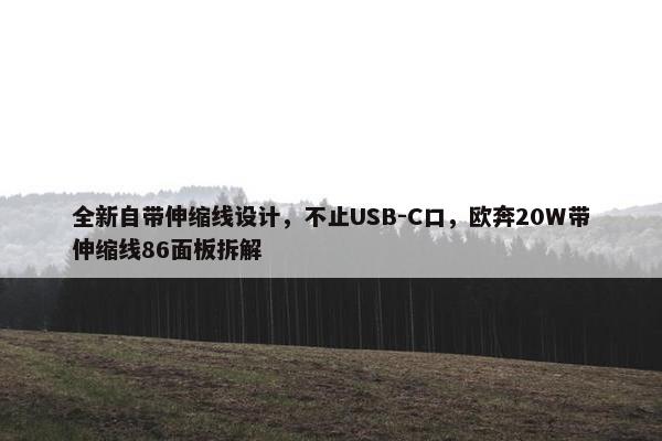 全新自带伸缩线设计，不止USB-C口，欧奔20W带伸缩线86面板拆解