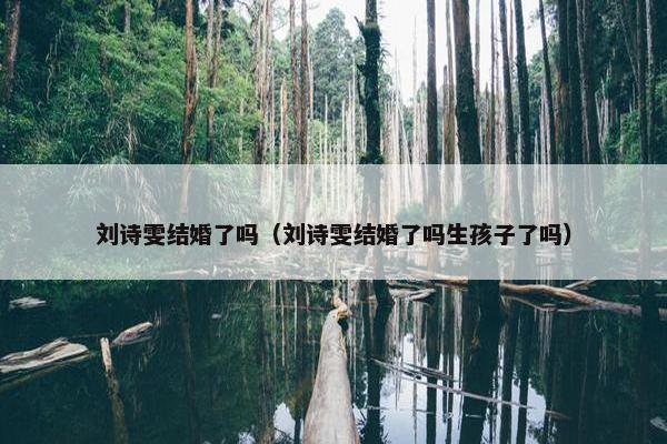 刘诗雯结婚了吗（刘诗雯结婚了吗生孩子了吗）