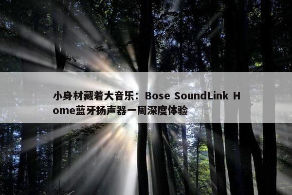 小身材藏着大音乐：Bose SoundLink Home蓝牙扬声器一周深度体验